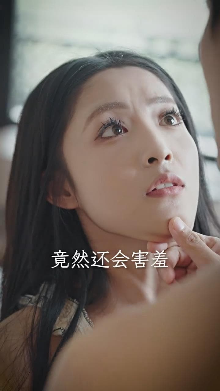 裴少,夫人又离家出走了