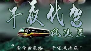 午夜代驾风波庄