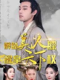 醉卧美人膝盖,醒掌天下权