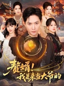 赘婿!我是来当大爷的