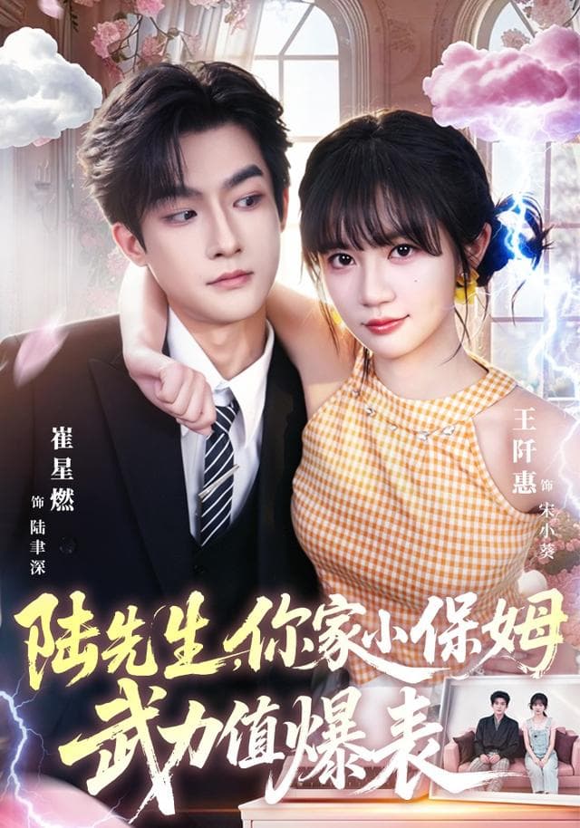 陆先生,你家小保姆武力值爆表